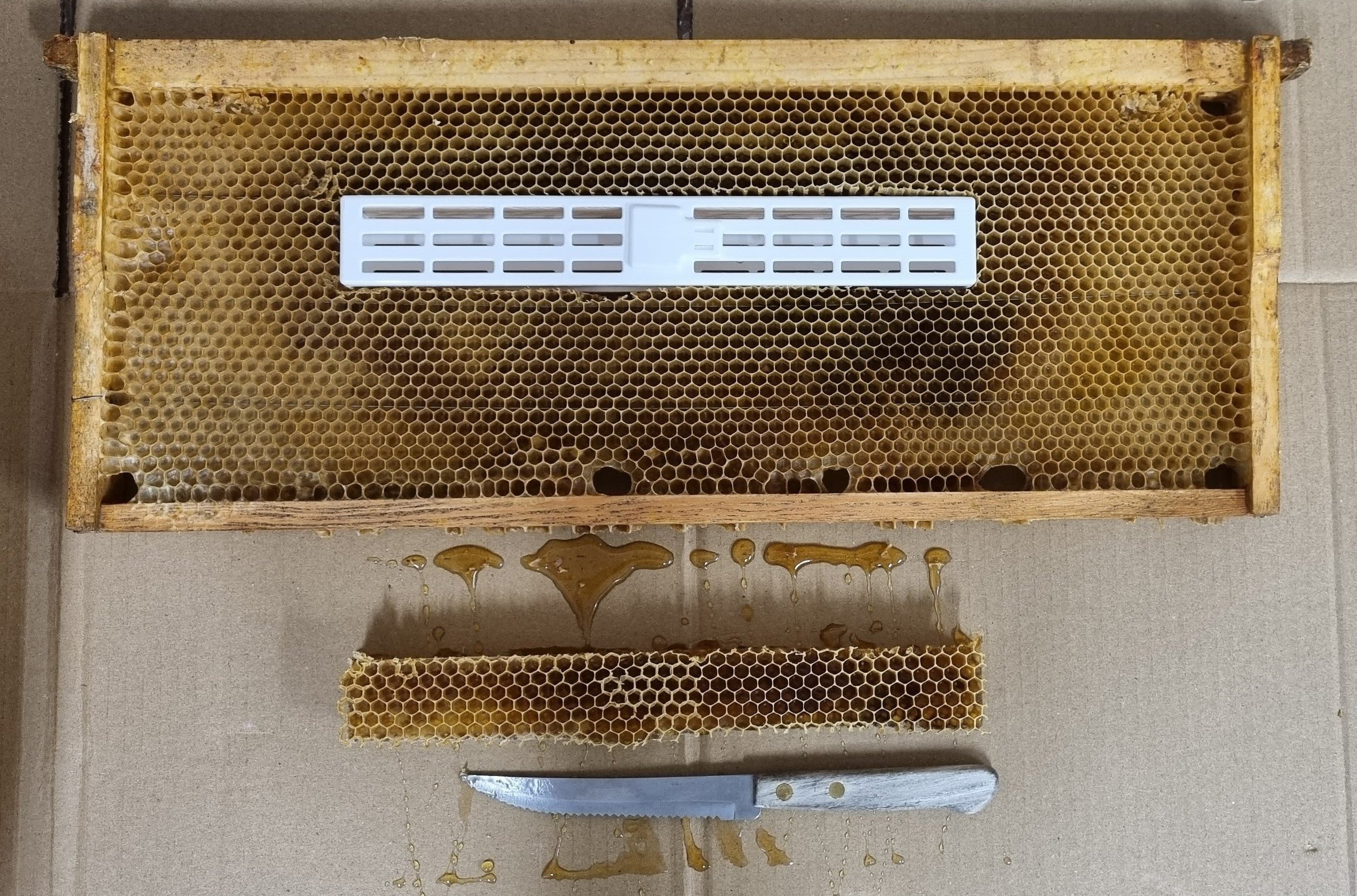 Queen Isolation Cage 240