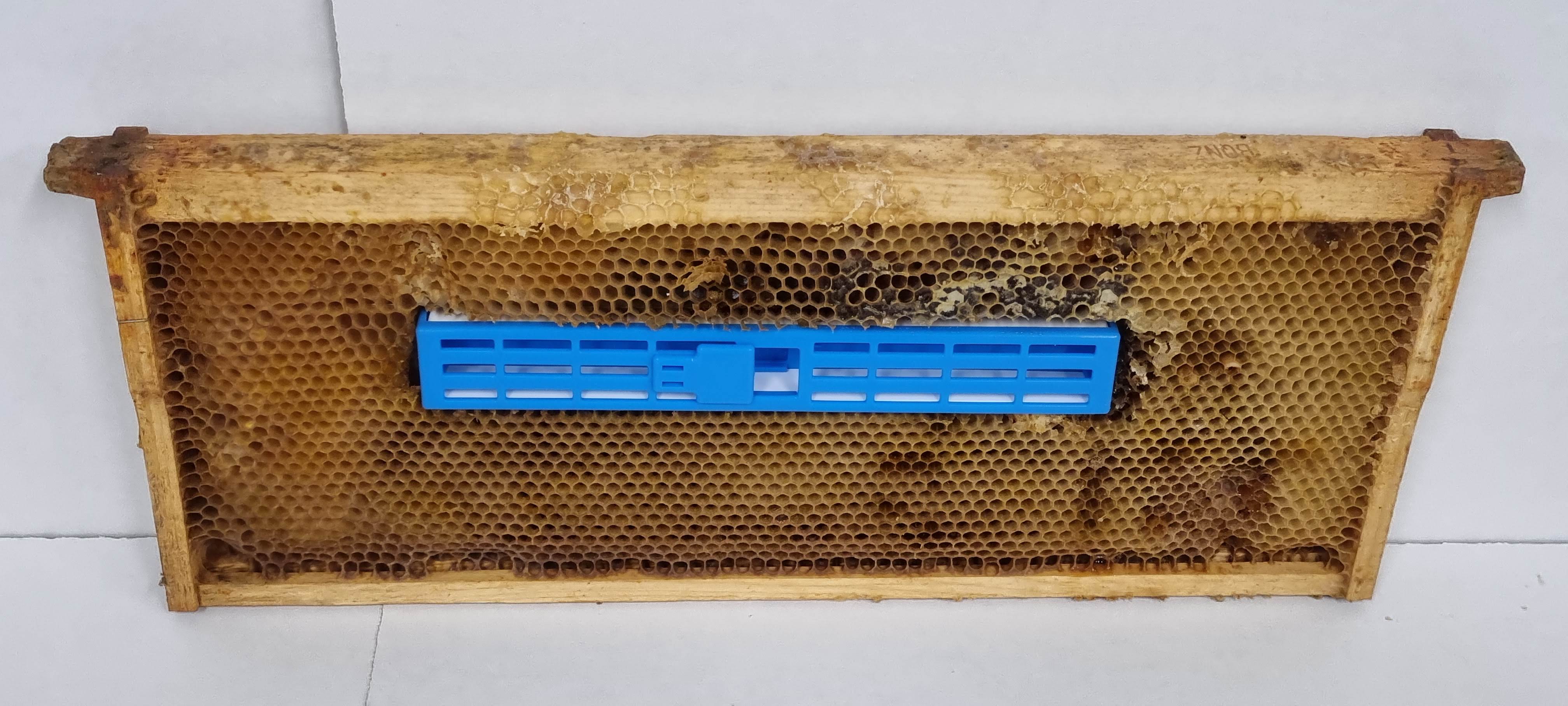 Queen Isolation Cage 240