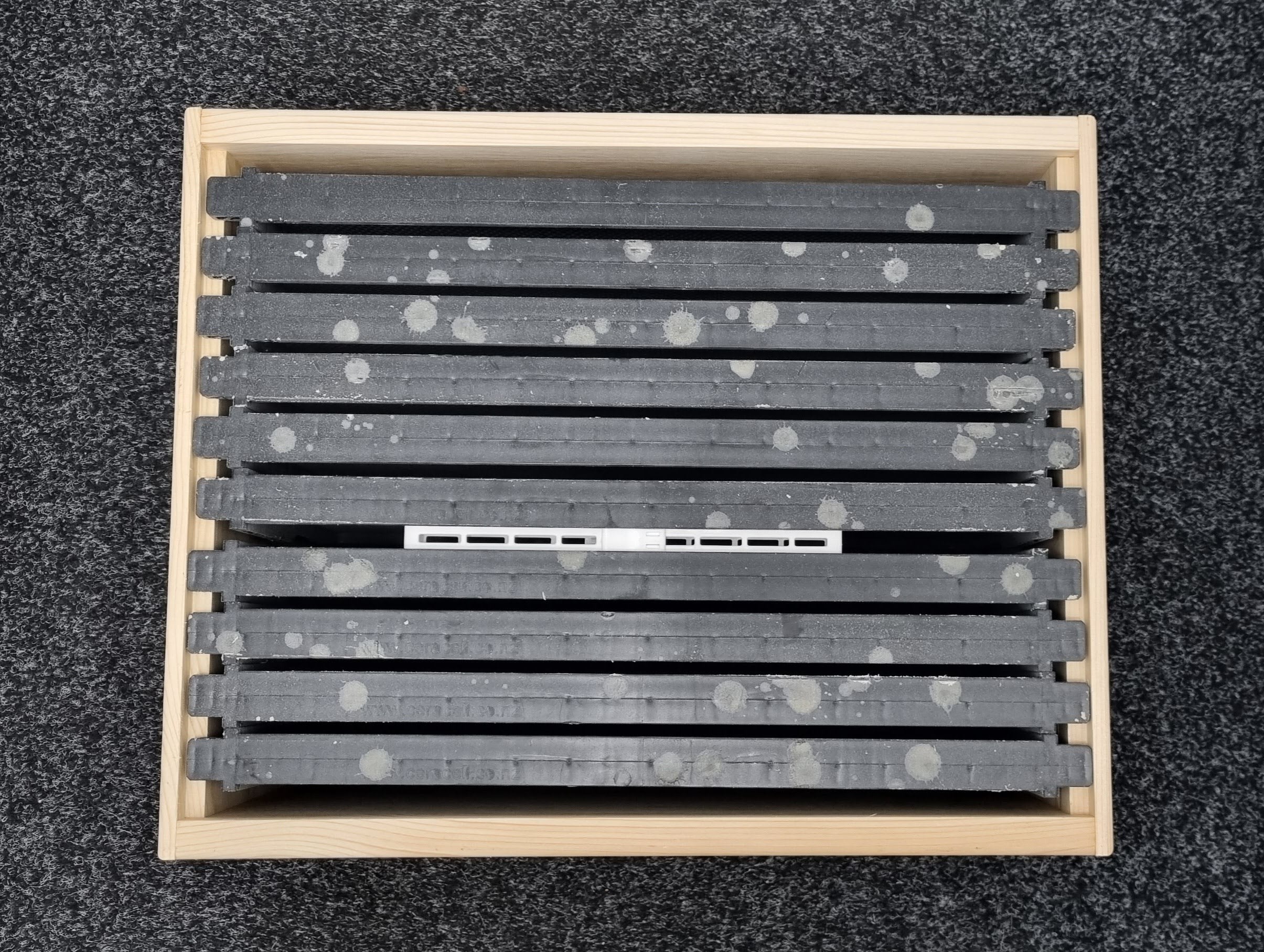 Queen Isolation Cage 240